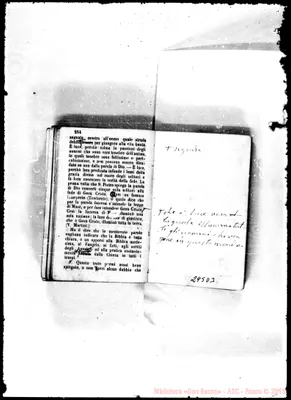 Fotogramma D 3