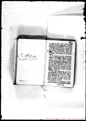 Fotogramma D 4