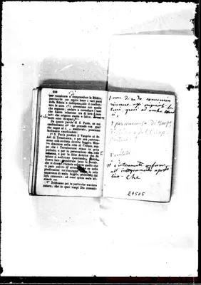 Fotogramma D 5