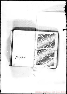 Fotogramma D 6