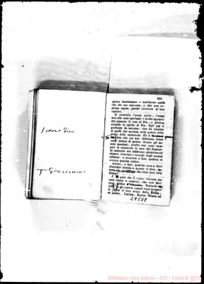 Fotogramma D 8