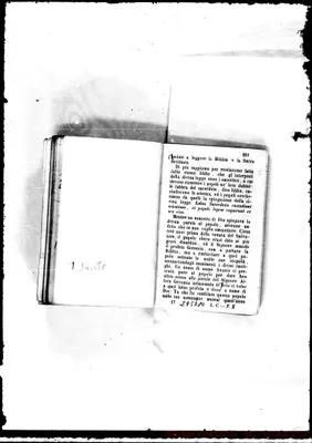 Fotogramma D 10