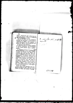 Fotogramma D 11