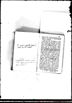 Fotogramma D 12