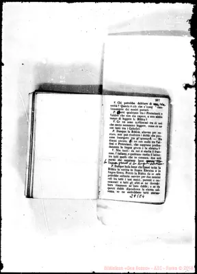 Fotogramma E 4