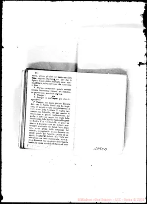 Fotogramma E 11