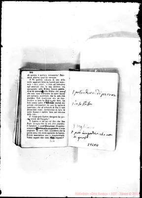 Fotogramma A 11