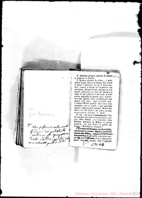 Fotogramma A 12