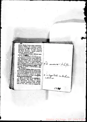 Fotogramma B 1