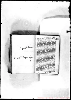 Fotogramma B 2