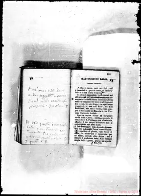 Fotogramma B 4