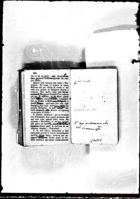 Fotogramma B 5