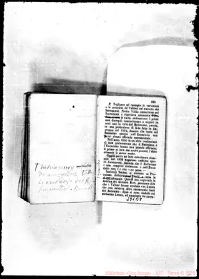 Fotogramma B 8