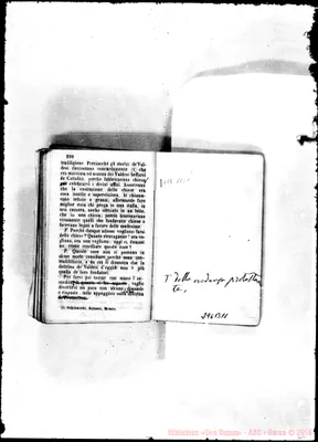 Fotogramma B 11