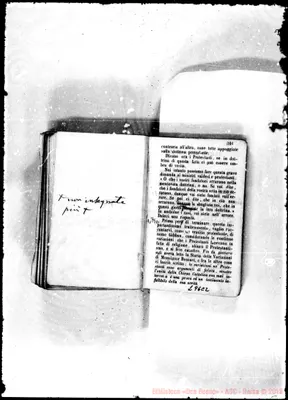 Fotogramma C 2