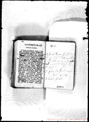 Fotogramma C 3