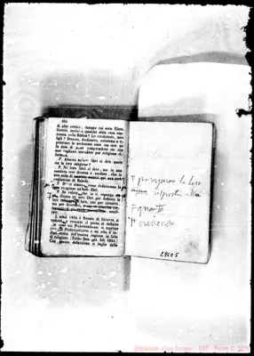 Fotogramma C 5