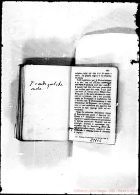 Fotogramma C 6