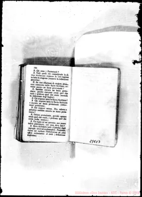 Fotogramma C 7