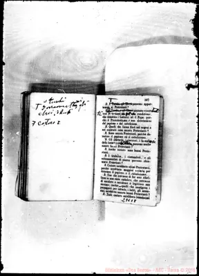 Fotogramma C 8