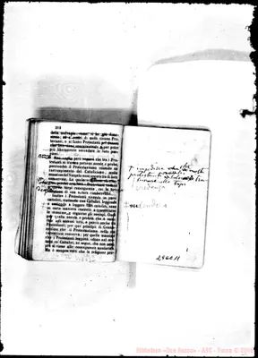 Fotogramma C 11
