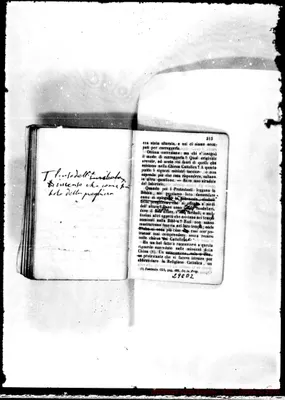Fotogramma D 2