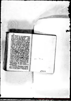Fotogramma D 3