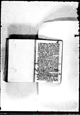 Fotogramma D 4