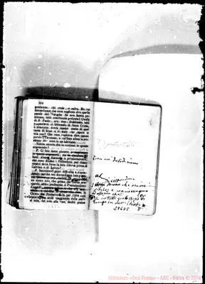Fotogramma D 5