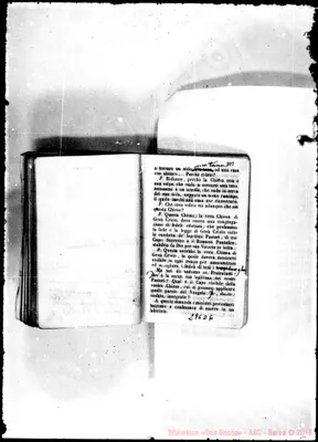 Fotogramma D 6
