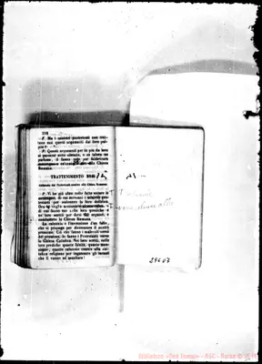 Fotogramma D 7
