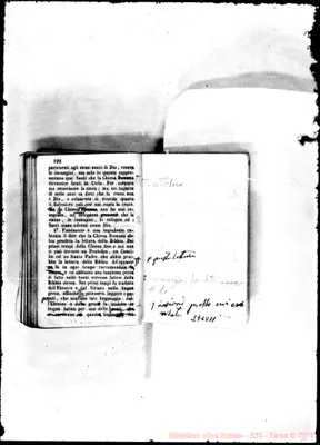 Fotogramma D 11