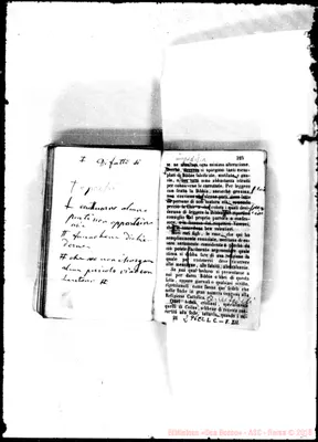 Fotogramma E 2