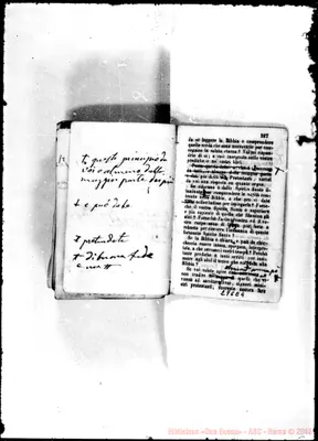 Fotogramma E 4