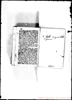 Fotogramma E 5