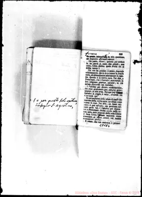 Fotogramma E 6