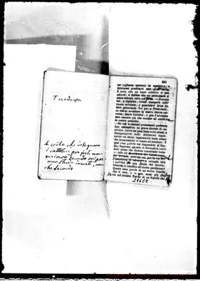 Fotogramma E 8