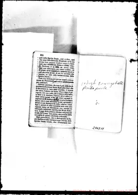Fotogramma E 11