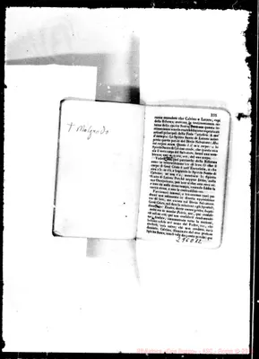 Fotogramma E 12