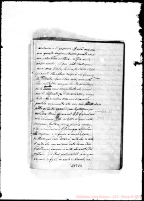 Fotogramma D 4