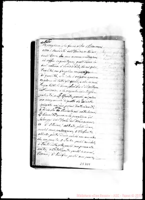 Fotogramma D 9