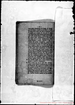 Fotogramma B 2