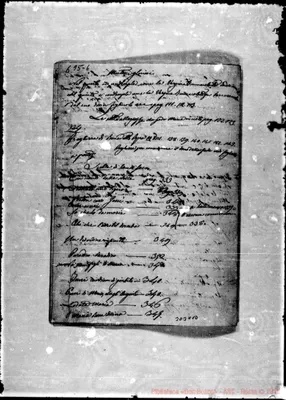 Fotogramma C 10