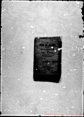 Fotogramma C 11