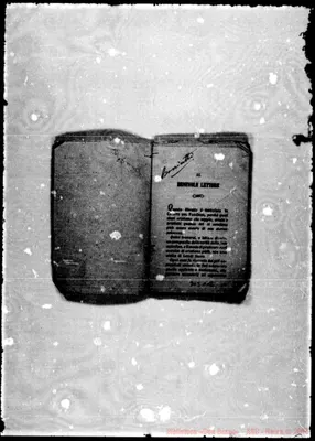 Fotogramma C 12