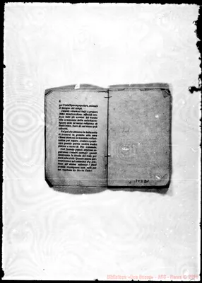 Fotogramma D 1