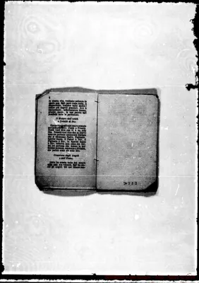 Fotogramma D 3