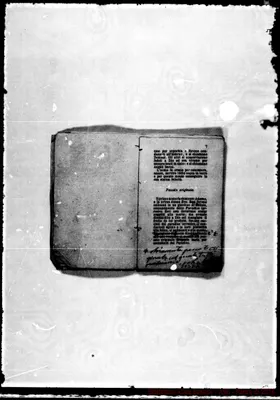 Fotogramma D 4