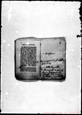 Fotogramma D 5