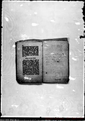 Fotogramma D 7